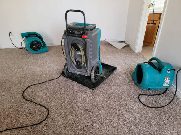 Best 24/7 water damage repair  in Oakley, KS