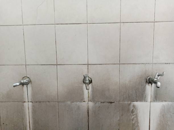 Best Water damage cleanup near me  in Oakley, KS